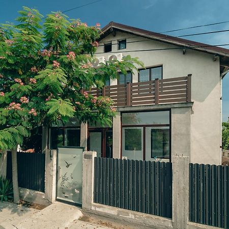 Casa Amina Daire Sulina Dış mekan fotoğraf